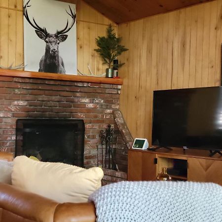 Cresta Lunar- Cozy And Modern 2 Bedroom Cabin 빅 베어 레이크 외부 사진
